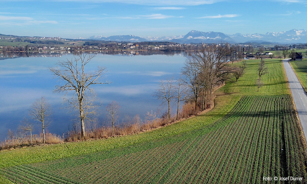 Baldeggersee mit Rigi