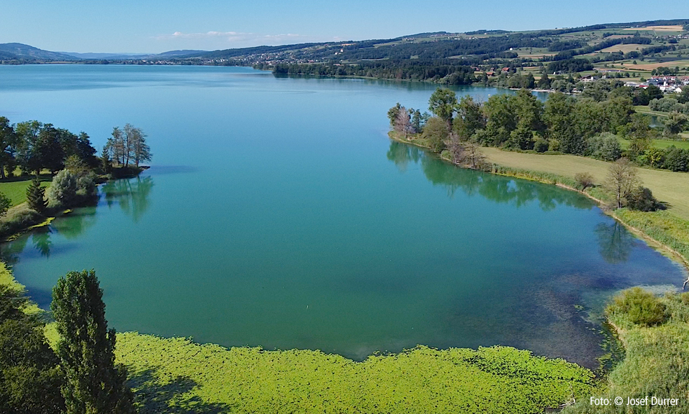 Baldeggersee