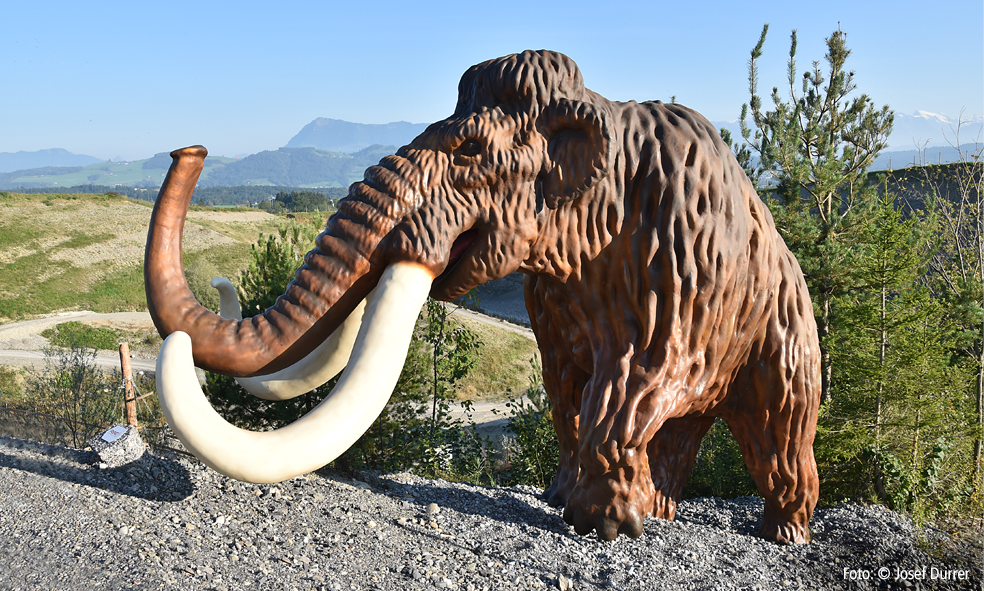 Mammut