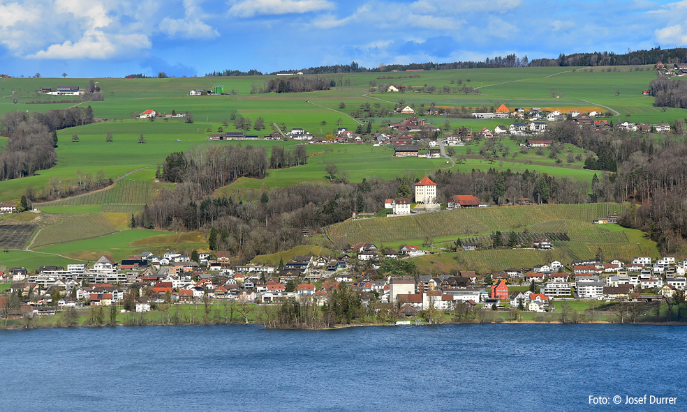 Gelfingen, See und Heidegg