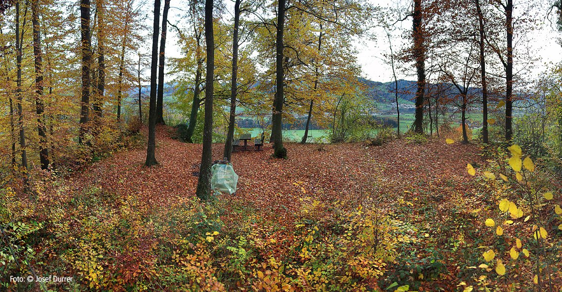 Burgstelle Iberg