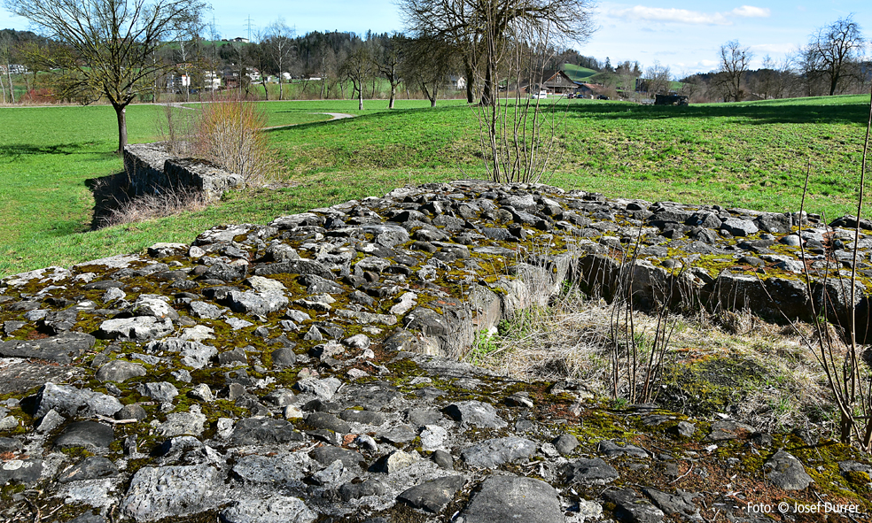 Alt Eschenbach, Inwil