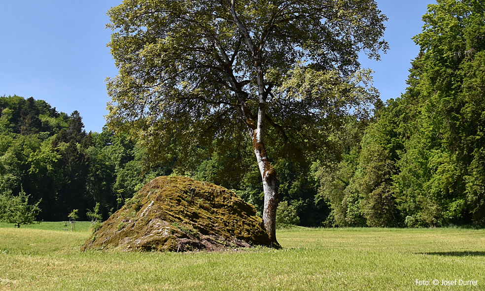 Kindlistein Laufenberg