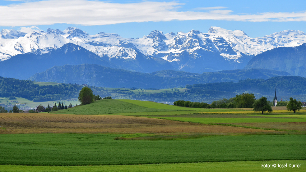 Linsibüel, Schneeberg Titlis