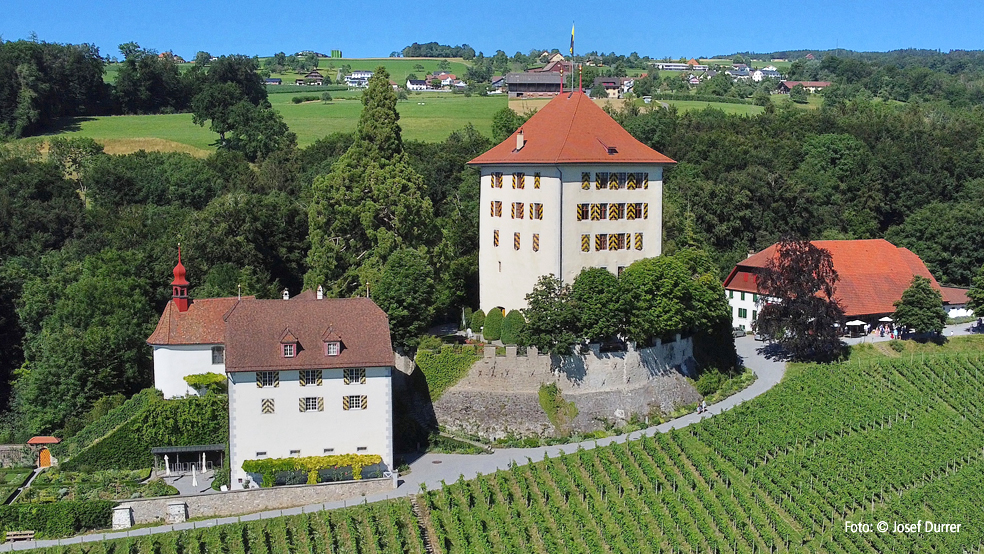 Schloss Heidegg