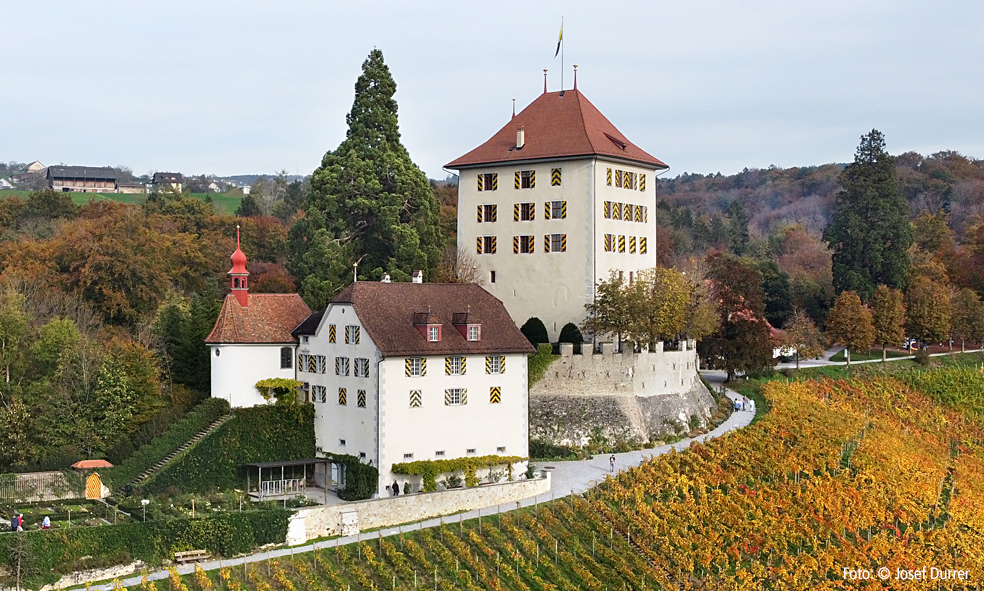 Schloss Heidegg