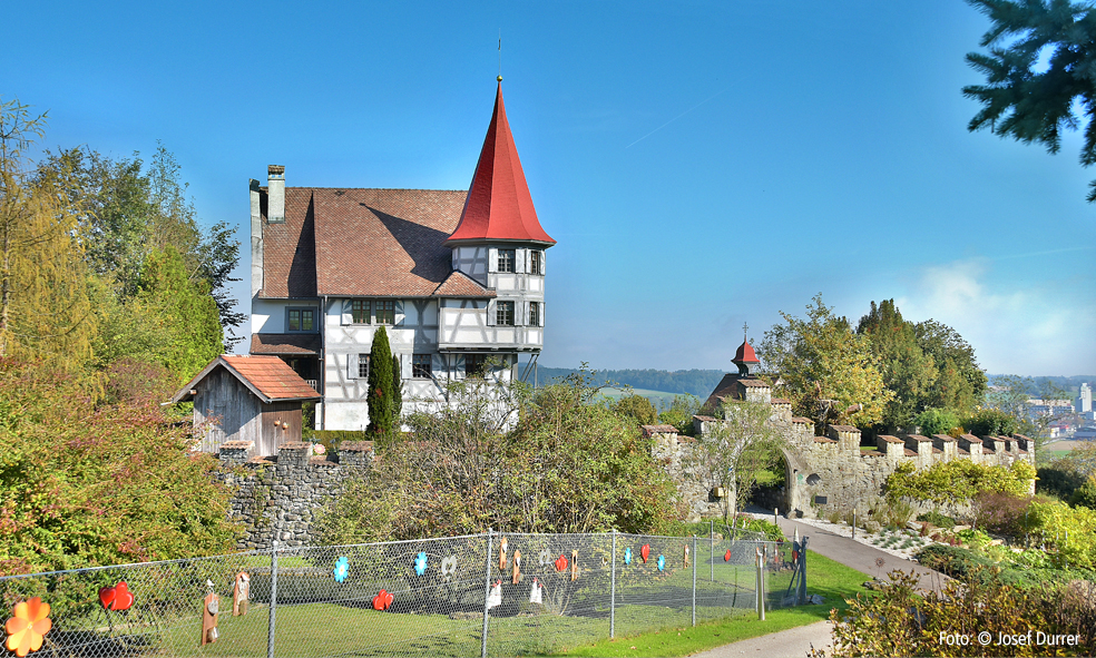 Schloss Wartensee