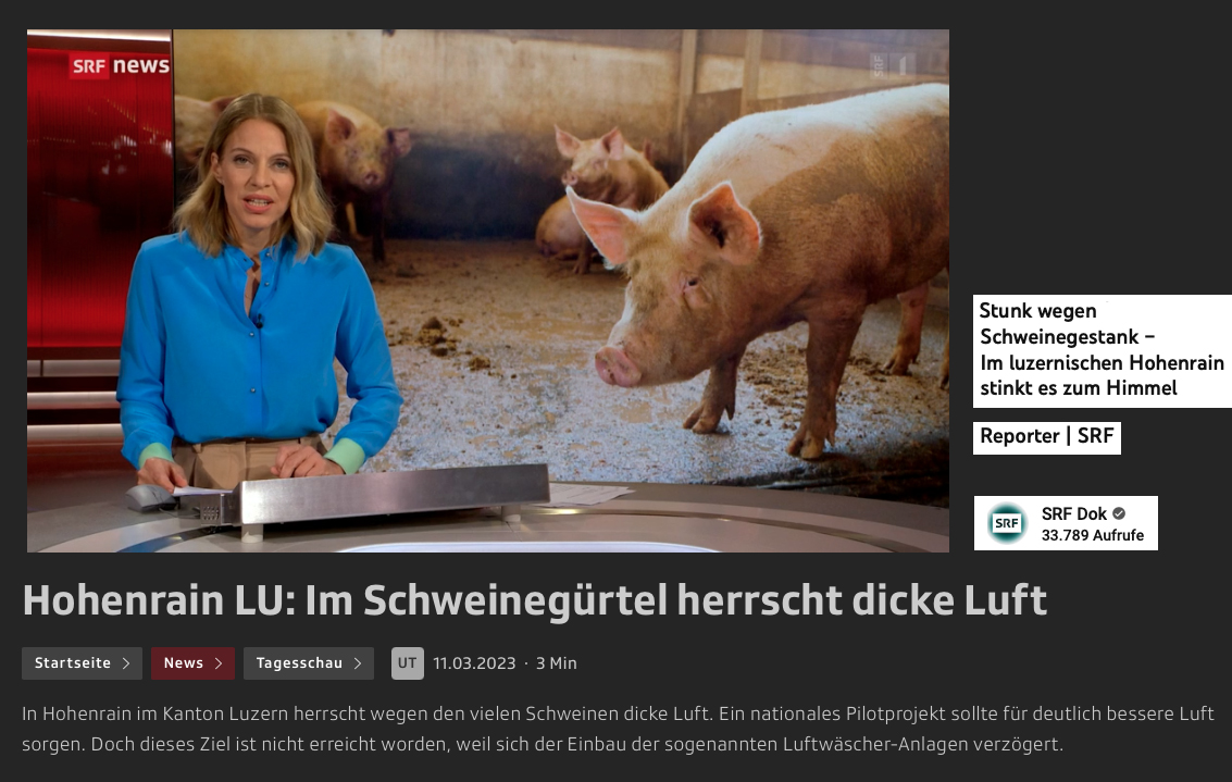 Schweine DOK SRF