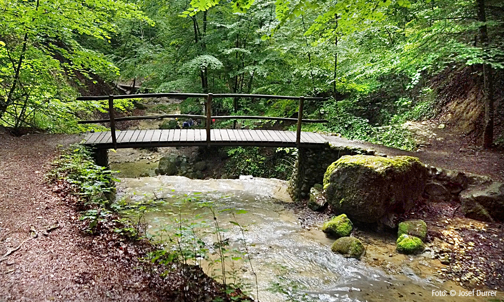 Sieben Brüggliweg Heidegg