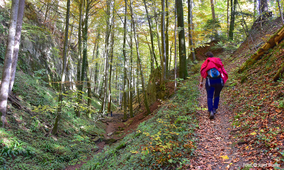 Wolfsschlucht Sonnenberg