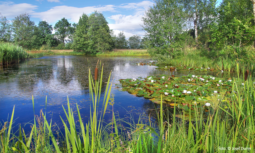 Vogelmoos, Neudorf