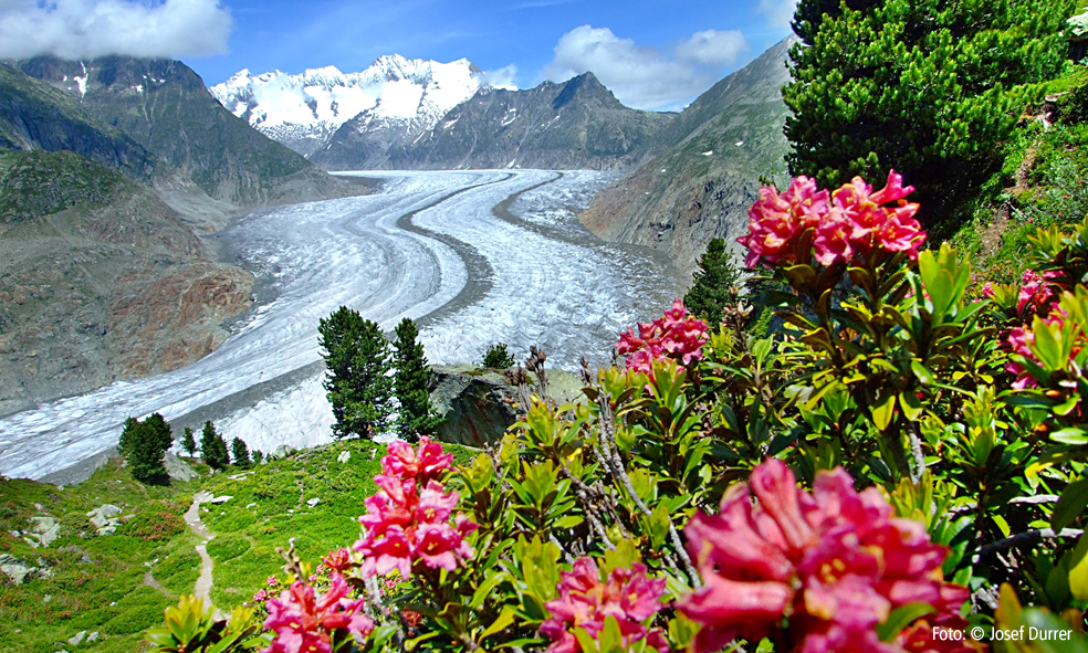 Aletschgletscher